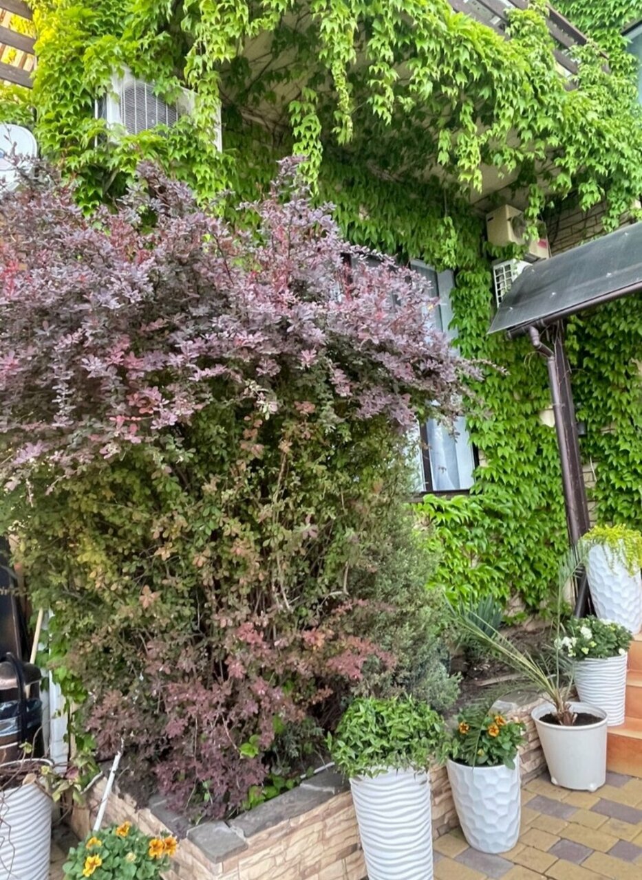 Гостевой дом Вилла Виталия Ейск