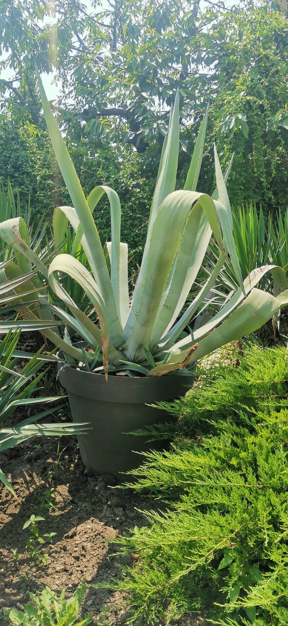 Гостевой дом Вилла Виталия Ейск-206