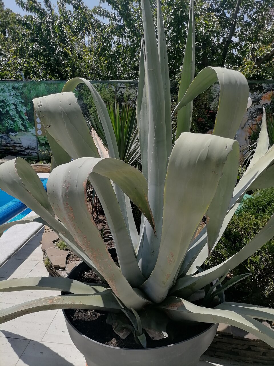 Гостевой дом Вилла Виталия Ейск-55