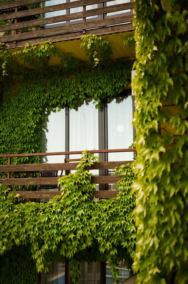 Гостевой дом Вилла Виталия Ейск-42