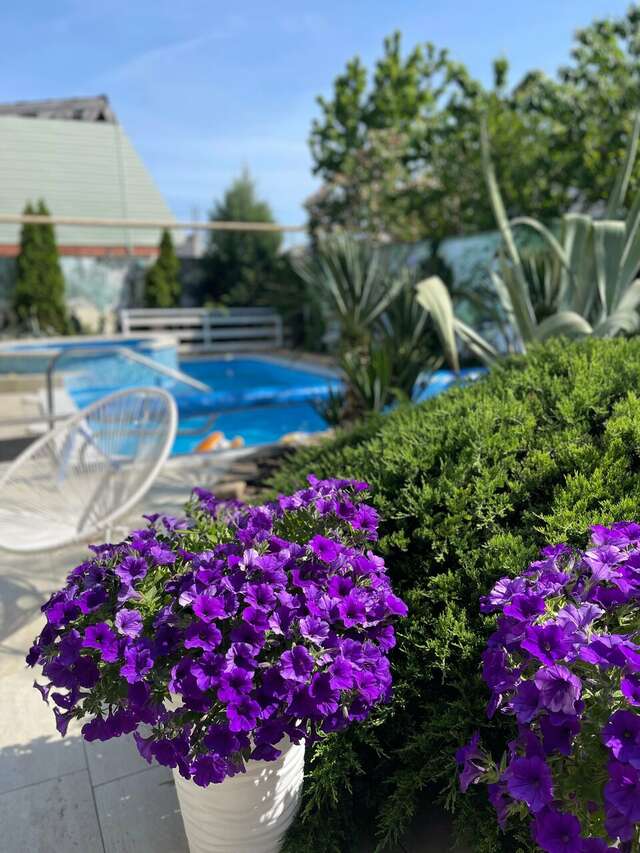 Гостевой дом Вилла Виталия Ейск-12